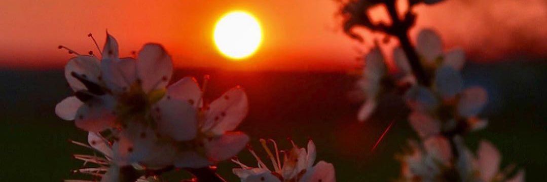 macaortizzz's profile banner image