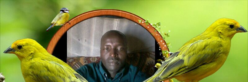 kipngkoskey's profile banner image