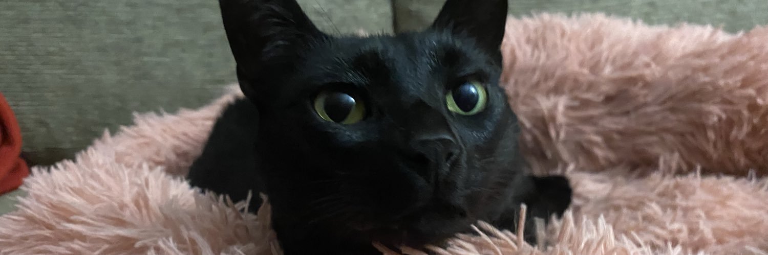 Terect's profile banner image