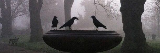 neptunium0_'s profile banner image