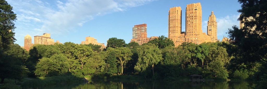 DeborahBSnyder's profile banner image