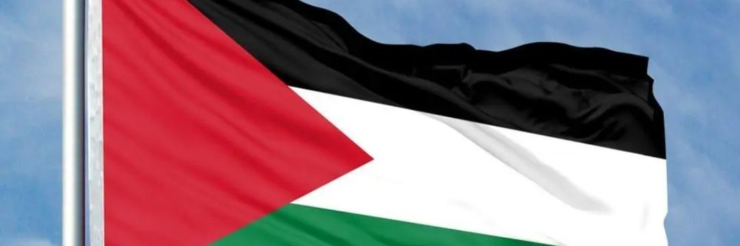 jayne moore 🇵🇸💚 banner
