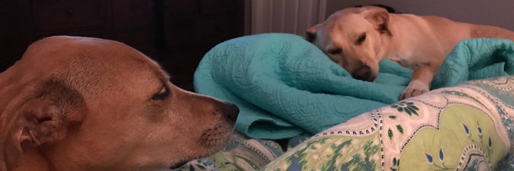 TheChrisHancock's profile banner image