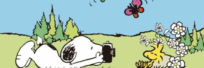 _madigann's profile banner image