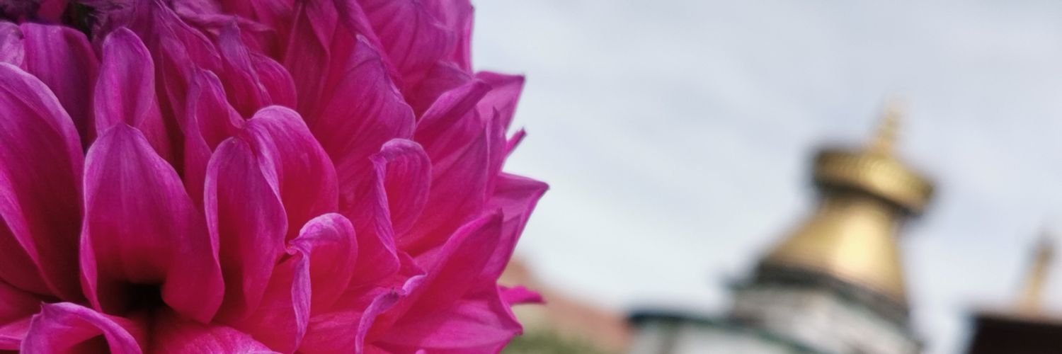 Chanandev's profile banner image
