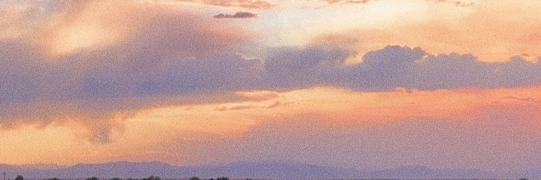 3833632's profile banner image
