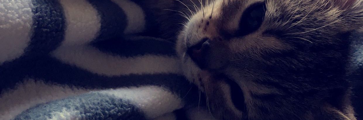soluvmeg's profile banner image