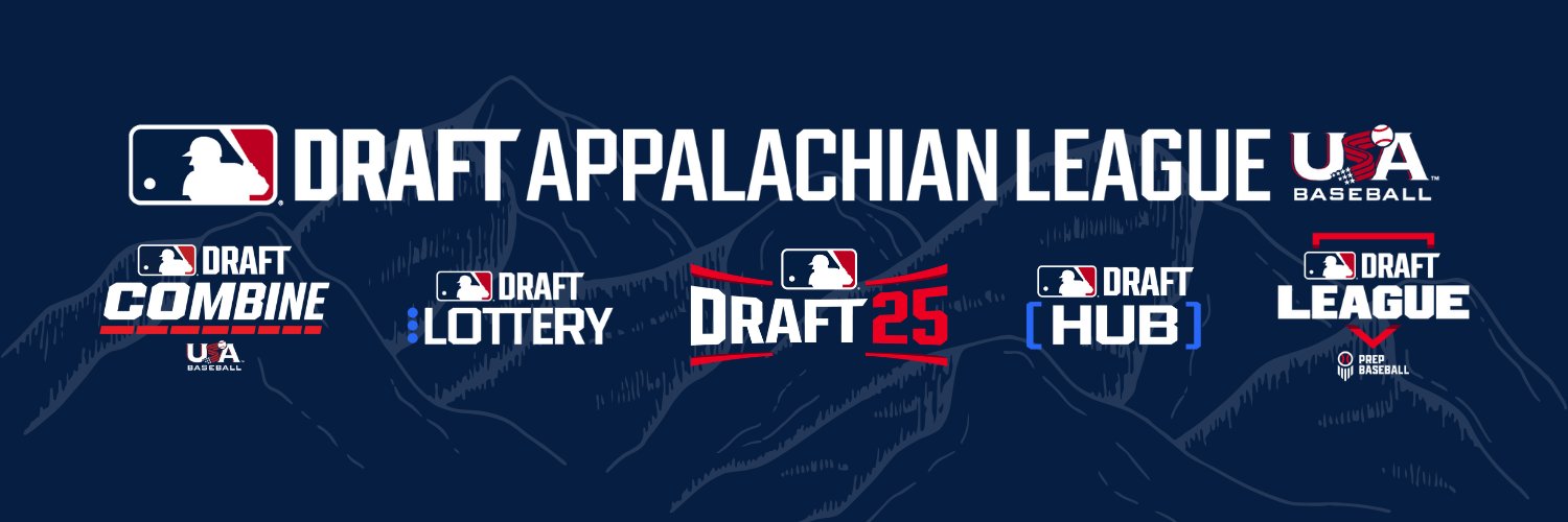 Appalachian League's banner