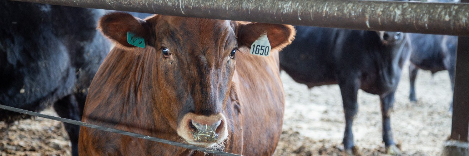 California Bountiful banner