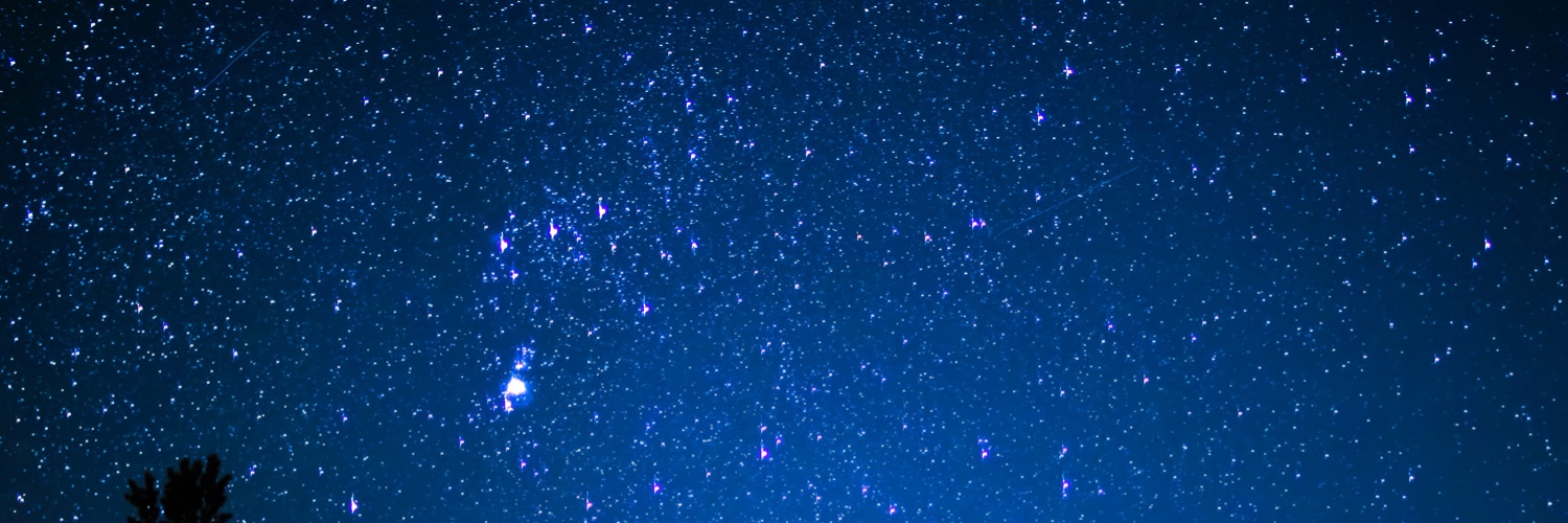 Debbie Ponchner banner