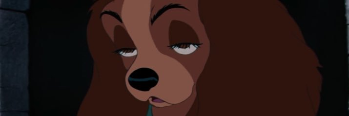lizterally's profile banner image