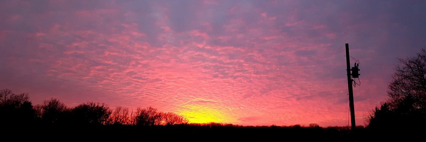 Kuster_Morgan's profile banner image