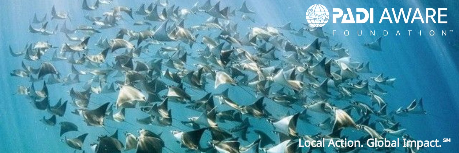 PADI AWARE Foundation banner