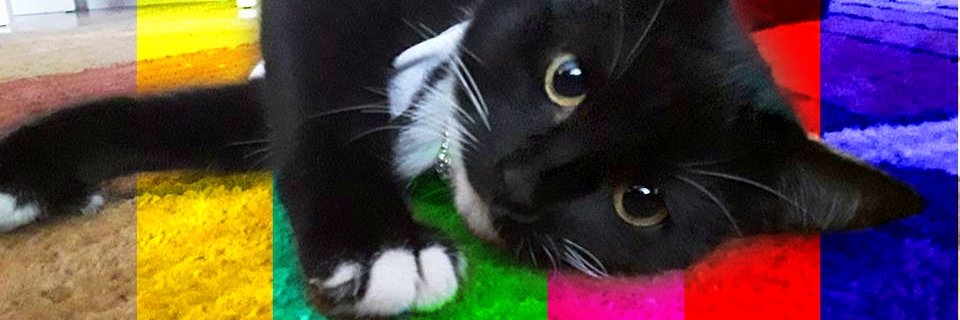 SpiceyTakeOut's profile banner image