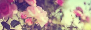 Abajay_'s profile banner image