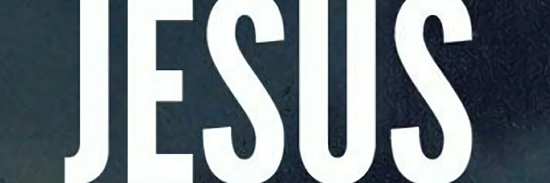 NatalieScalia's profile banner image