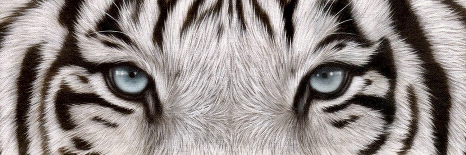 kyleholford's profile banner image