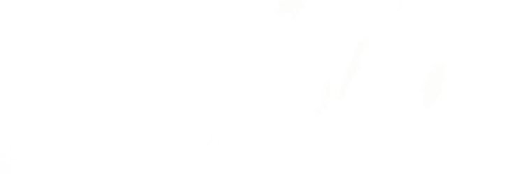 Viola Rifila banner