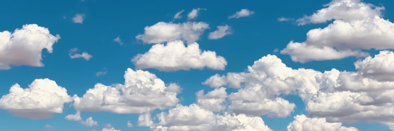 msdixietweets's profile banner image