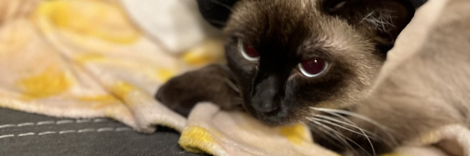 slumpdogaj's profile banner image