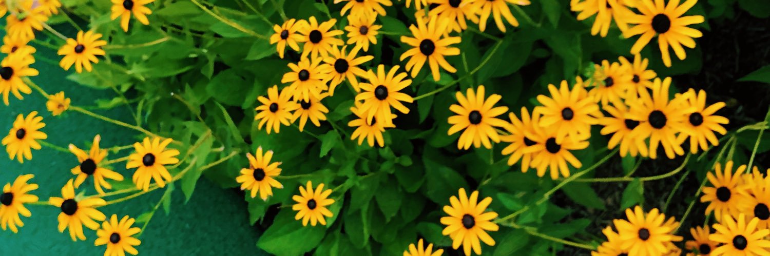dmp143's profile banner image