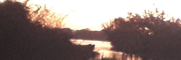 EdgarRo99's profile banner image