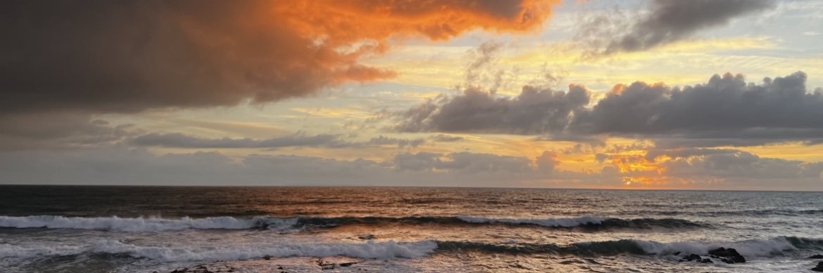 maisyparks's profile banner image