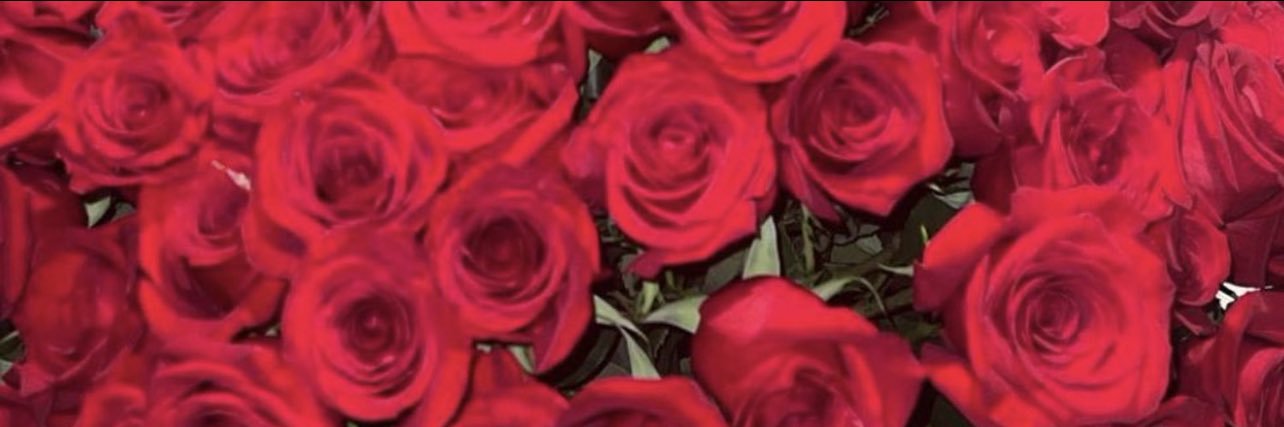 LionTigerzNBhar's profile banner image