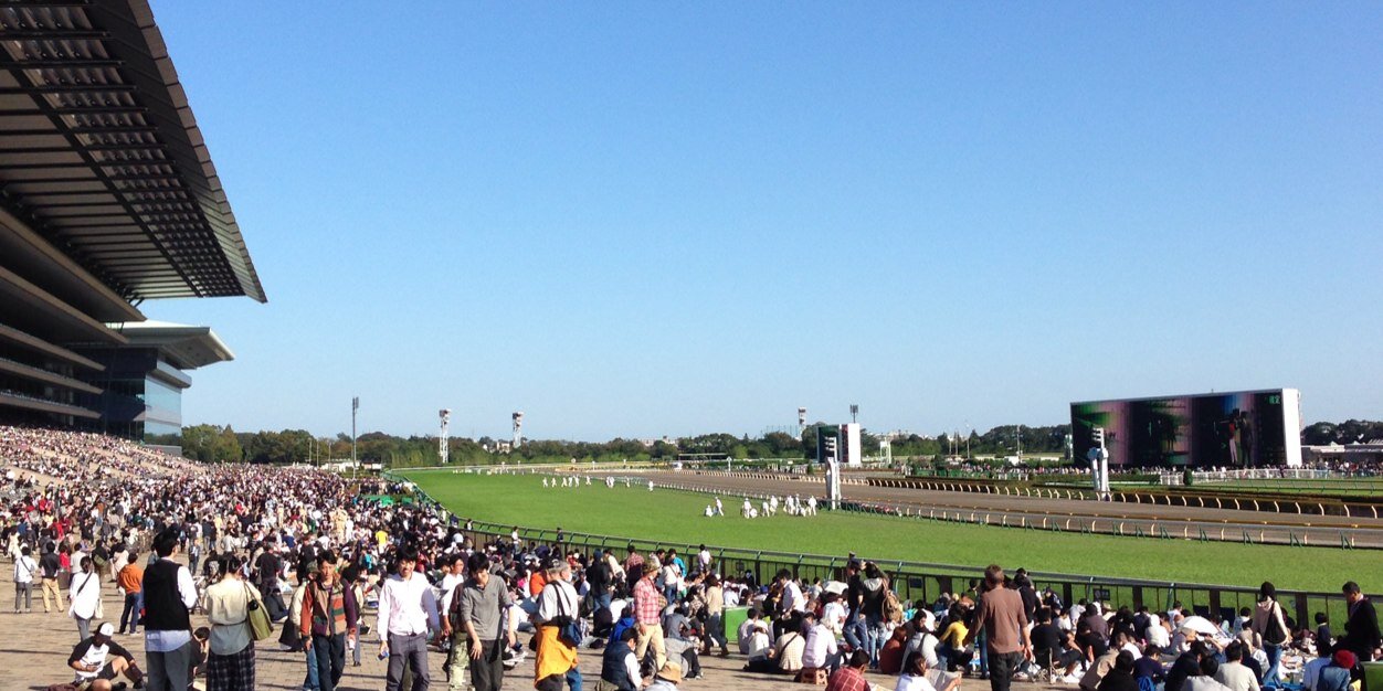 劇団りばうど banner