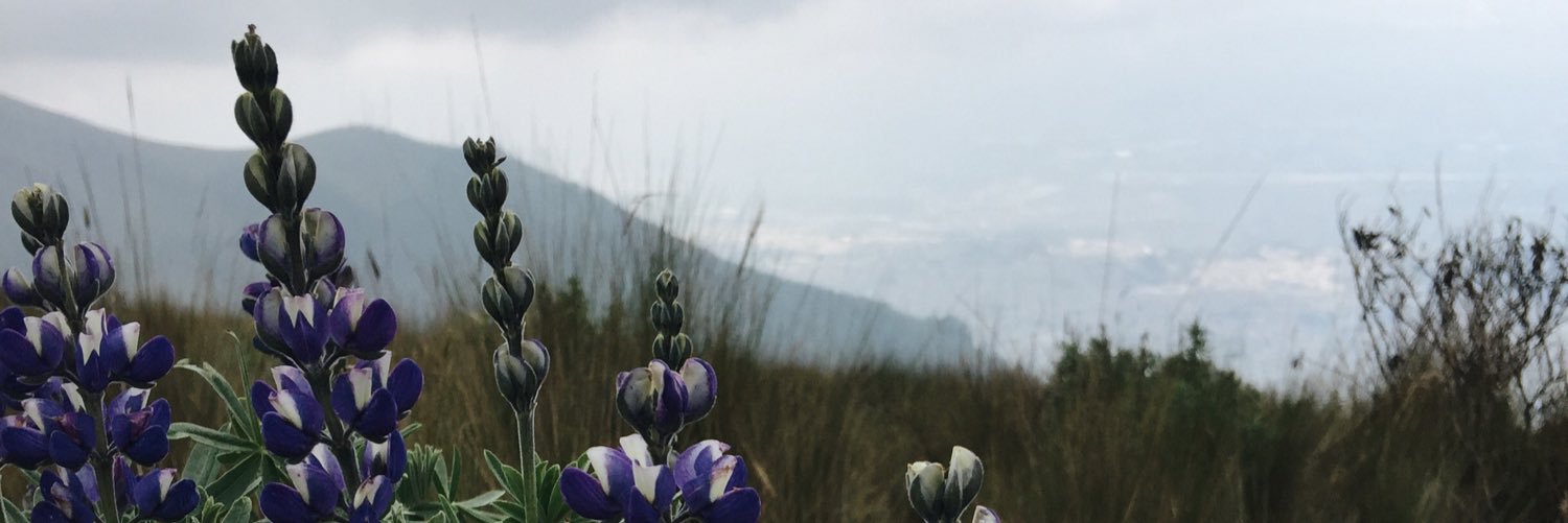 HEisloeffel's profile banner image