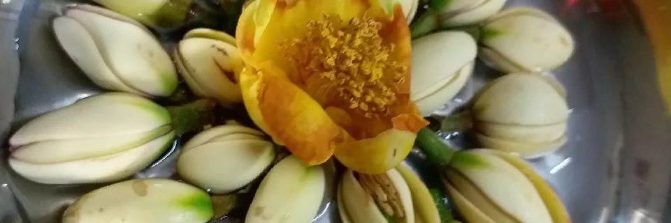 Myat22931Myat's profile banner image