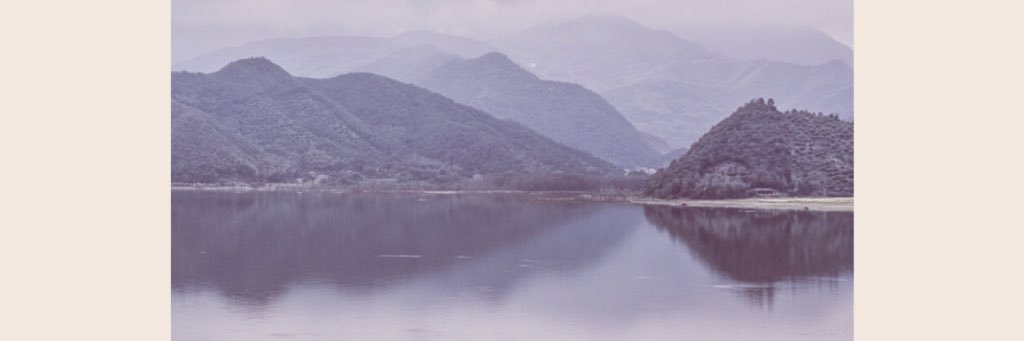 tayloriwallace's profile banner image