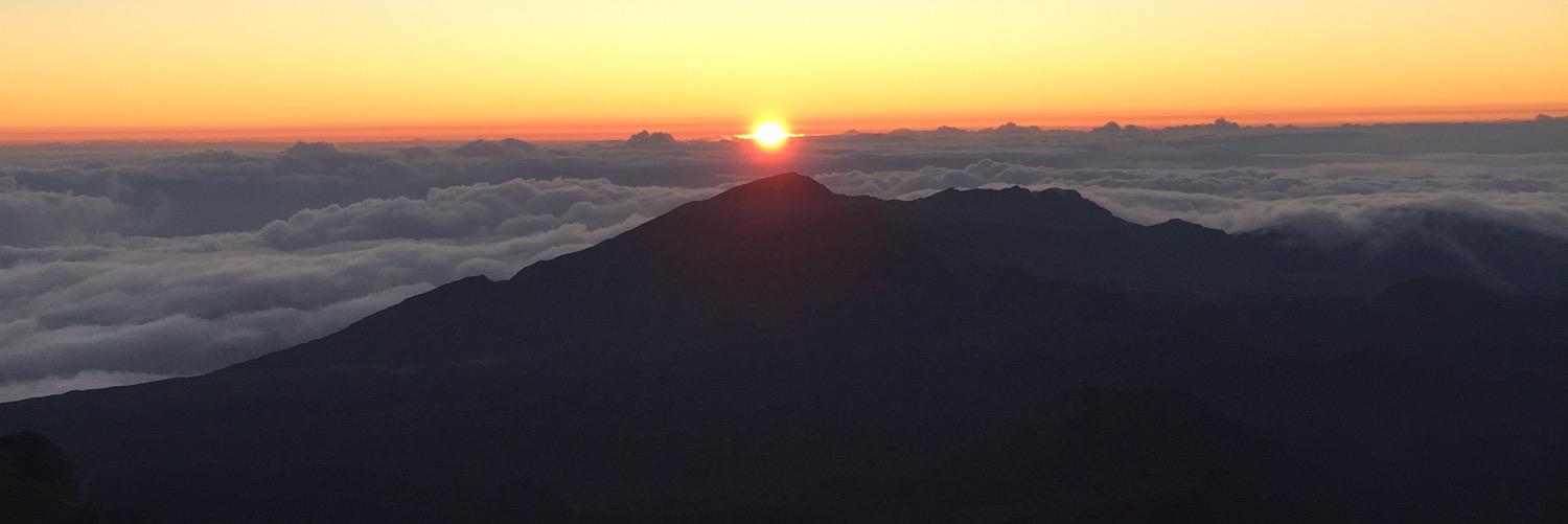 Jessiiee Bebe banner