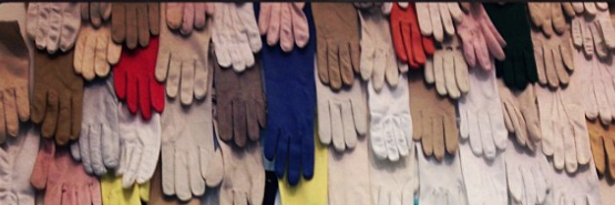 AmyWeaverTweets's profile banner image