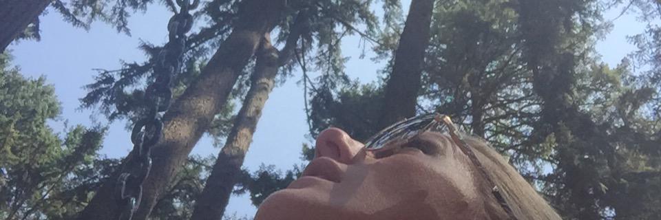 ErinPiibor's profile banner image