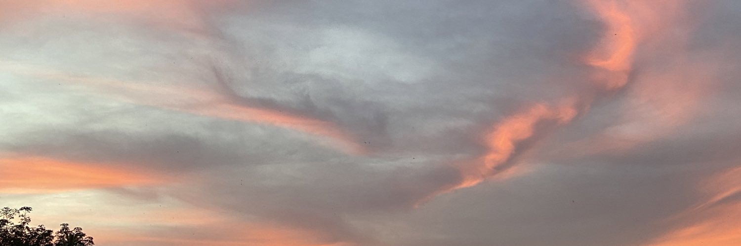 dilskhz's profile banner image