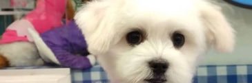 nial21's profile banner image