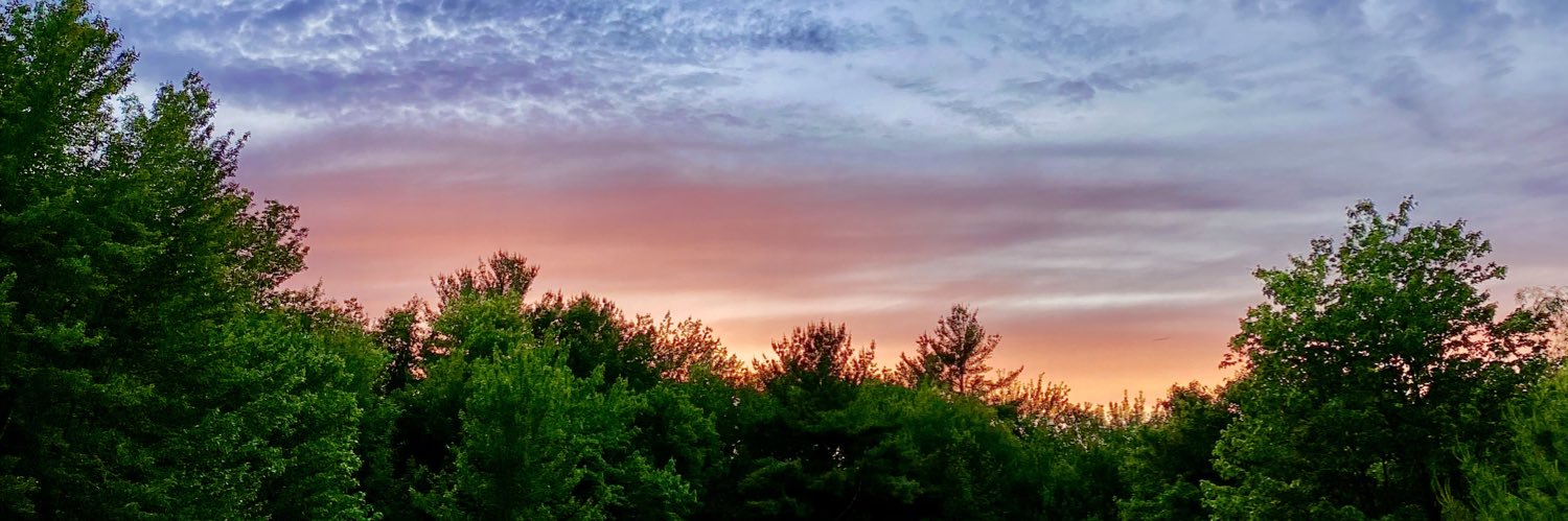 StephenKearney1's profile banner image