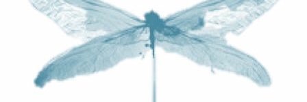 lasurema's profile banner image