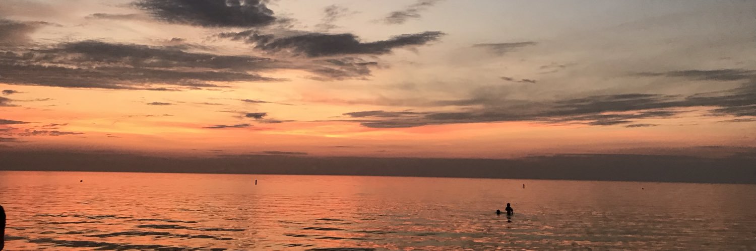 ryleepilonn's profile banner image