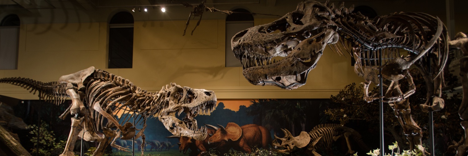 Carnegie Museum of Natural History banner