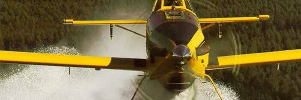 BForestCabreado Profile Banner