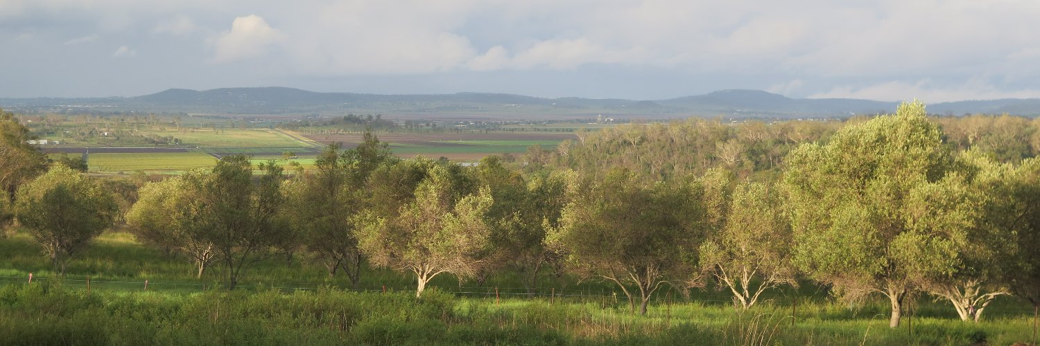 reardonsk's profile banner image