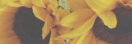 StringyMaria's profile banner image