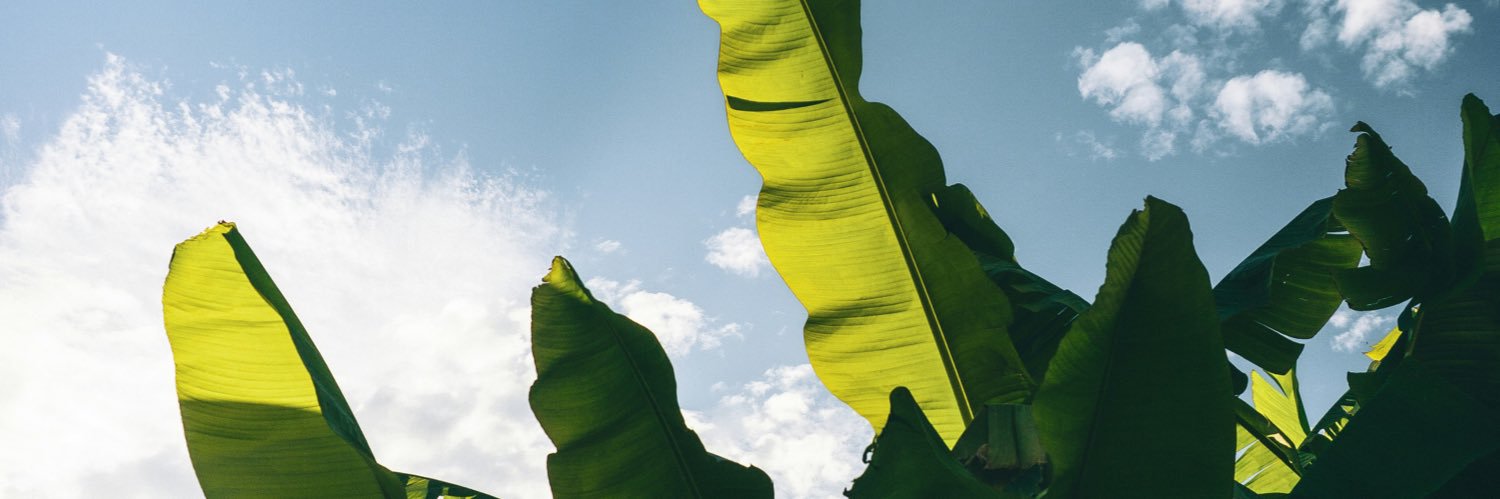nel_jimz's profile banner image