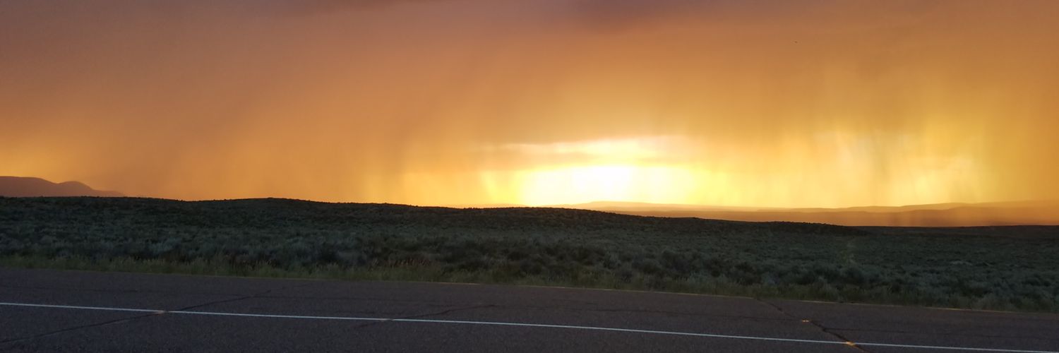 DeNuttySquirrel's profile banner image