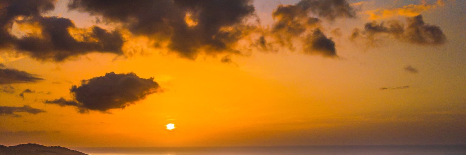 msgerridene's profile banner image