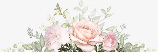 millahanif's profile banner image