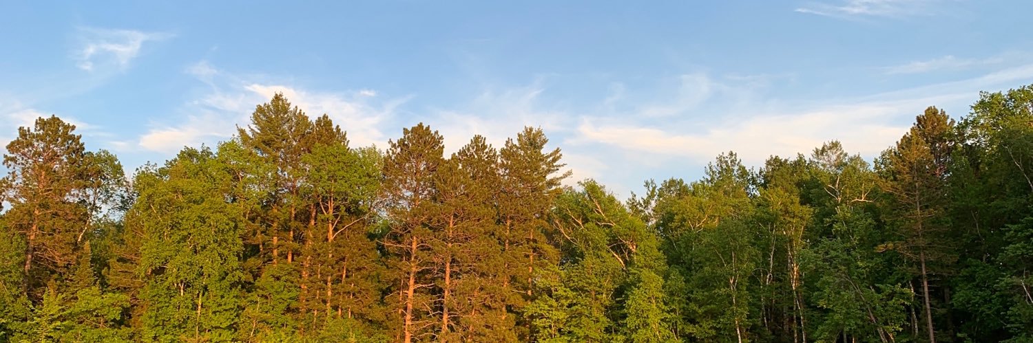 sydgal12's profile banner image