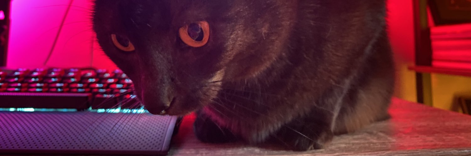 lexifouts's profile banner image